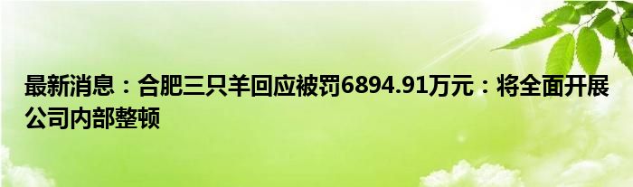 最新消息：合肥三只羊回应被罚6894.91万元：将全面开展公司内部整顿