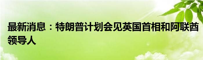 最新消息：特朗普计划会见英国首相和阿联酋领导人