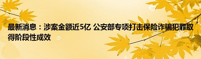 最新消息：涉案金额近5亿 公安部专项打击保险诈骗犯罪取得阶段性成效