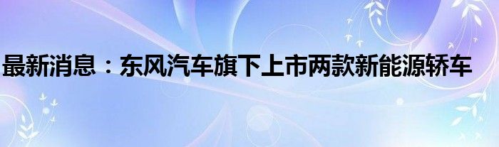 最新消息：东风汽车旗下上市两款新能源轿车