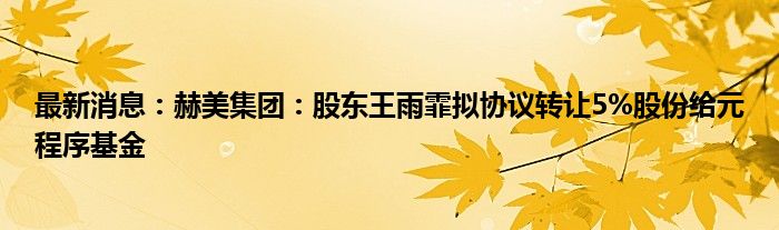 最新消息：赫美集团：股东王雨霏拟协议转让5%股份给元程序基金