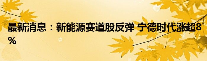 最新消息：新能源赛道股反弹 宁德时代涨超8%