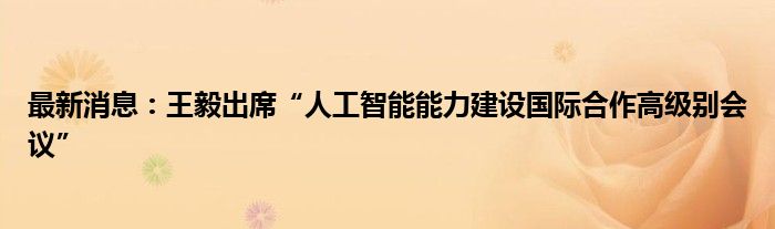 最新消息：王毅出席“人工智能能力建设国际合作高级别会议”