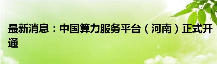 最新消息：中国算力服务平台（河南）正式开通