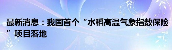 最新消息：我国首个“水稻高温气象指数保险”项目落地