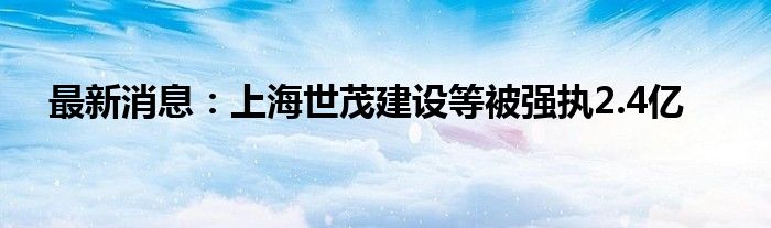 最新消息：上海世茂建设等被强执2.4亿