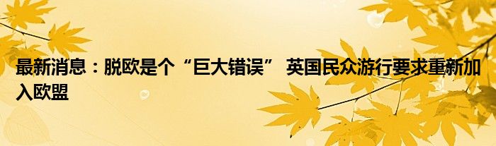 最新消息：脱欧是个“巨大错误” 英国民众游行要求重新加入欧盟