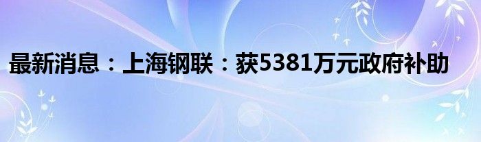 最新消息：上海钢联：获5381万元政府补助