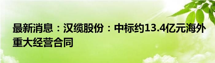 最新消息：汉缆股份：中标约13.4亿元海外重大经营合同