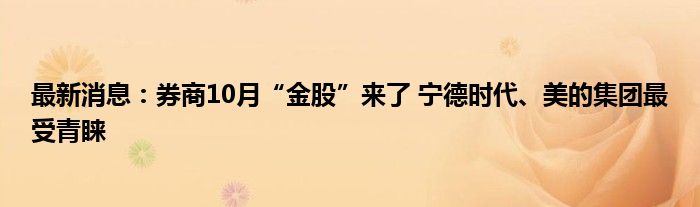 最新消息：券商10月“金股”来了 宁德时代、美的集团最受青睐