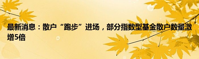 最新消息：散户“跑步”进场，部分指数型基金散户数量激增5倍