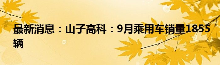 最新消息：山子高科：9月乘用车销量1855辆