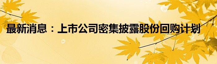 最新消息：上市公司密集披露股份回购计划